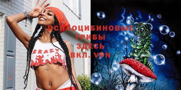 альфа пвп Саяногорск