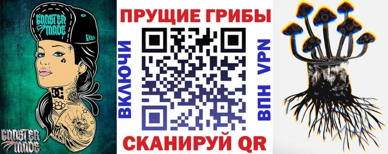 Псилоцибиновые грибы GOLDEN TEACHER  наркотики  mega зеркало  Среднеколымск 