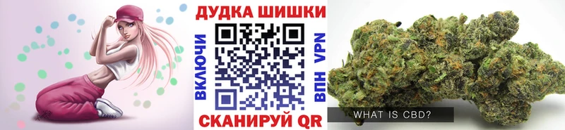 Конопля гибрид Среднеколымск